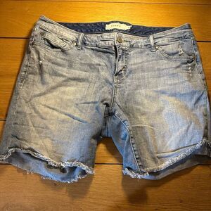Torrid Light Blue Jean Shorts